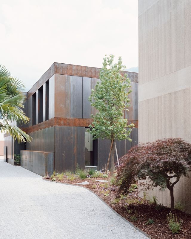 LIH - Cingallegra – SIMONE BOSSI ©